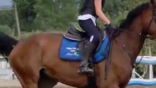 Un fotogramma del percorso: il cavallo al galoppo